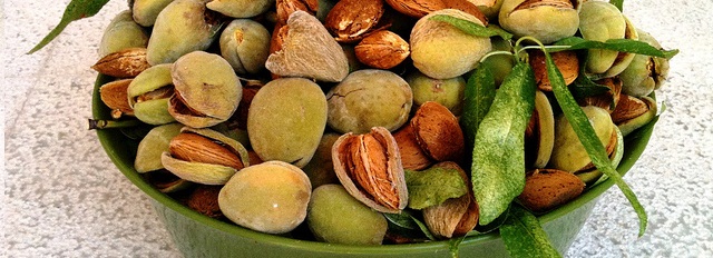 Hazelnuts-nutcracker